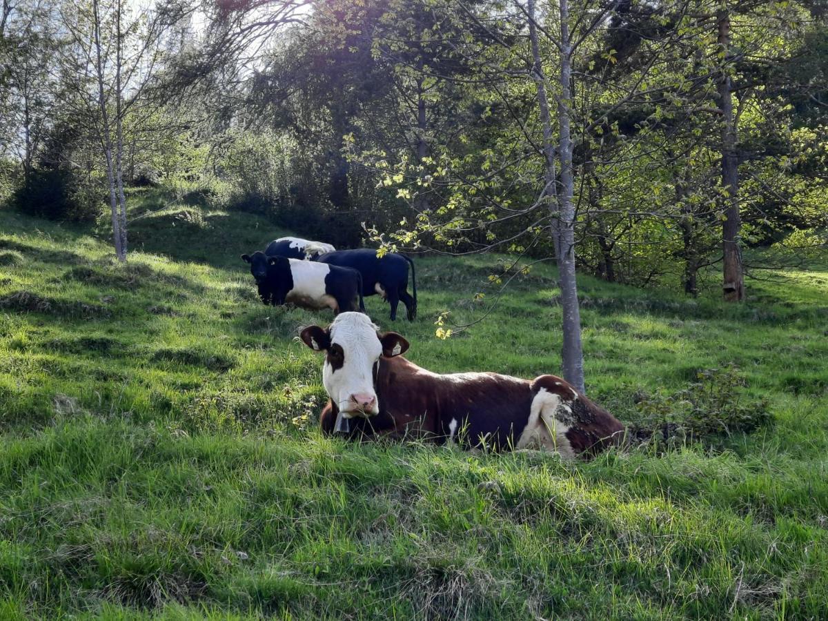 Appartamento Motthof Lermoos Esterno foto